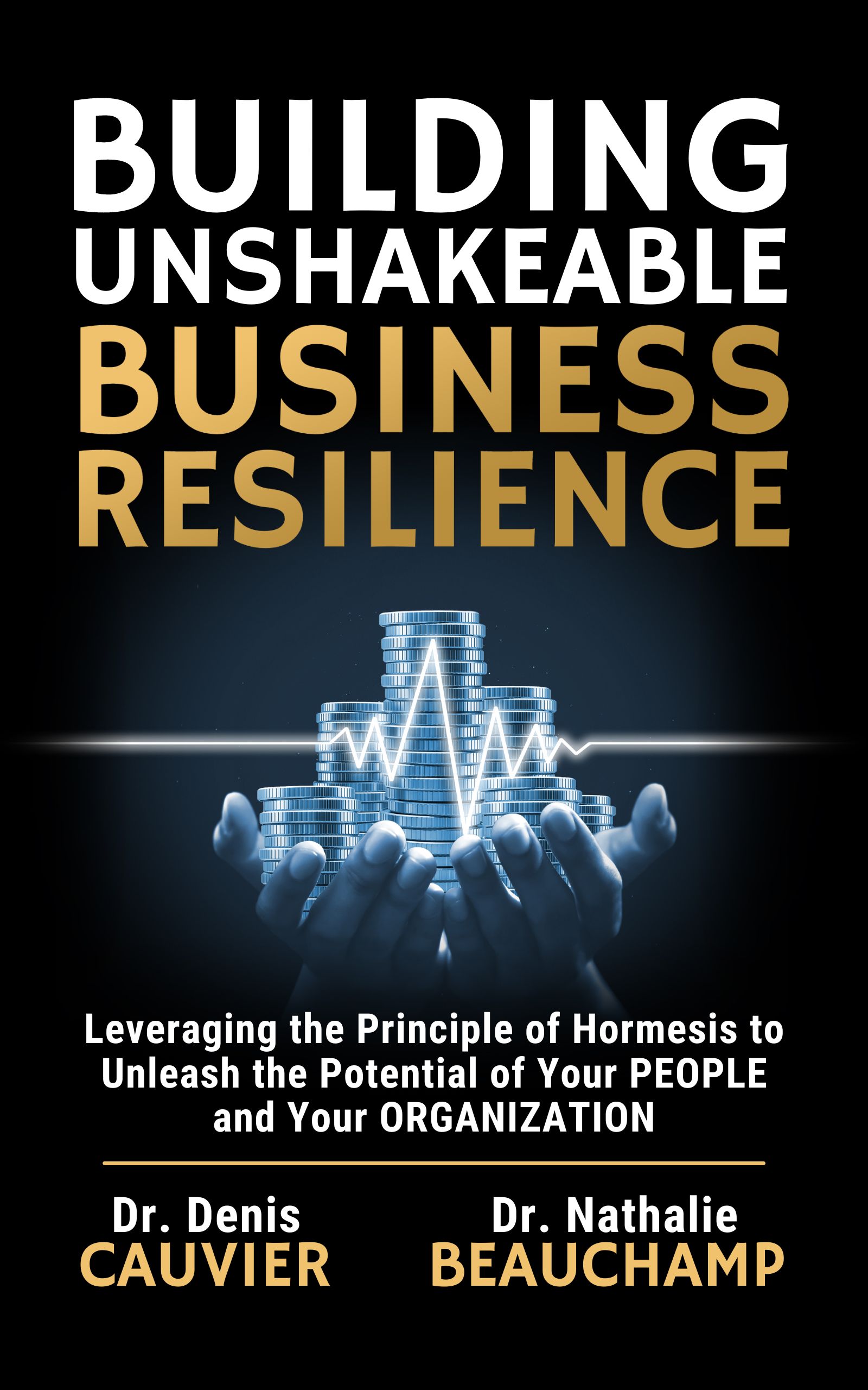Business Book E-book Cover Design
